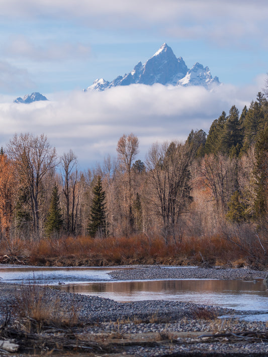 Pacific Creek in Fall