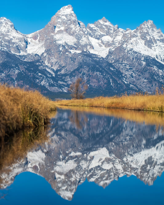 A Grand Reflection