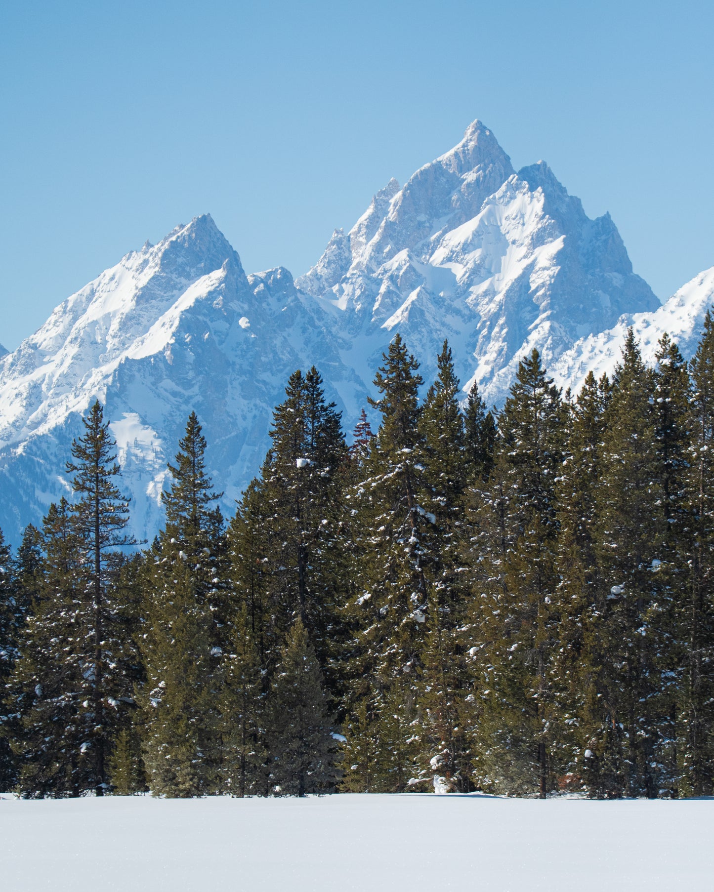 On the Shoulders of Giants