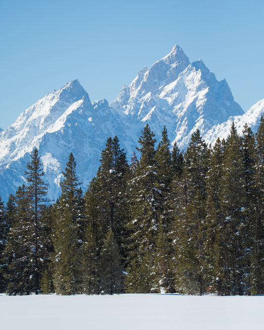 On the Shoulders of Giants