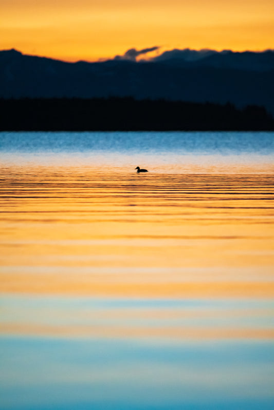 Simple Sunrise