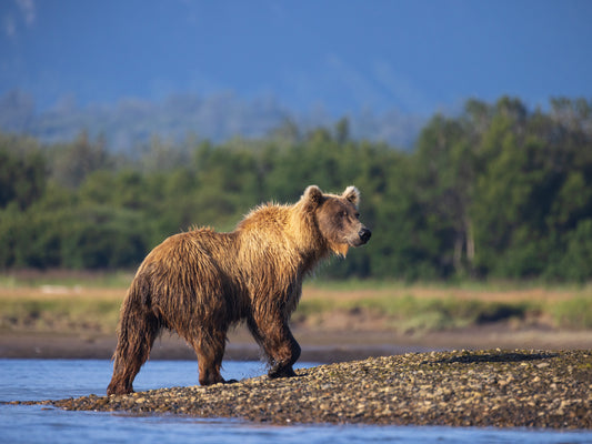 River Keeper