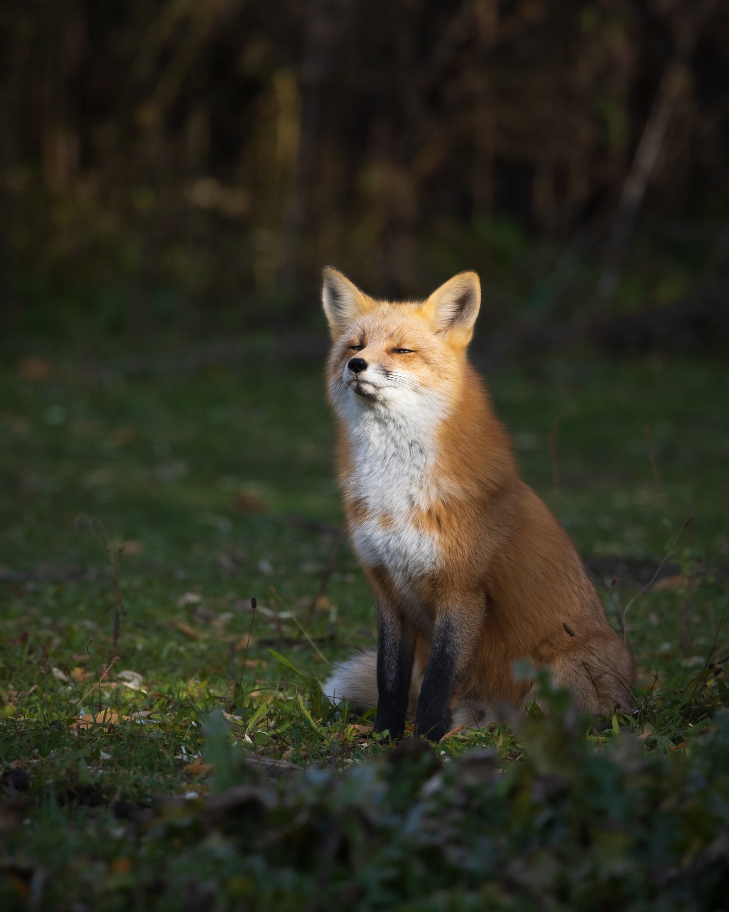 Basking in the Glow