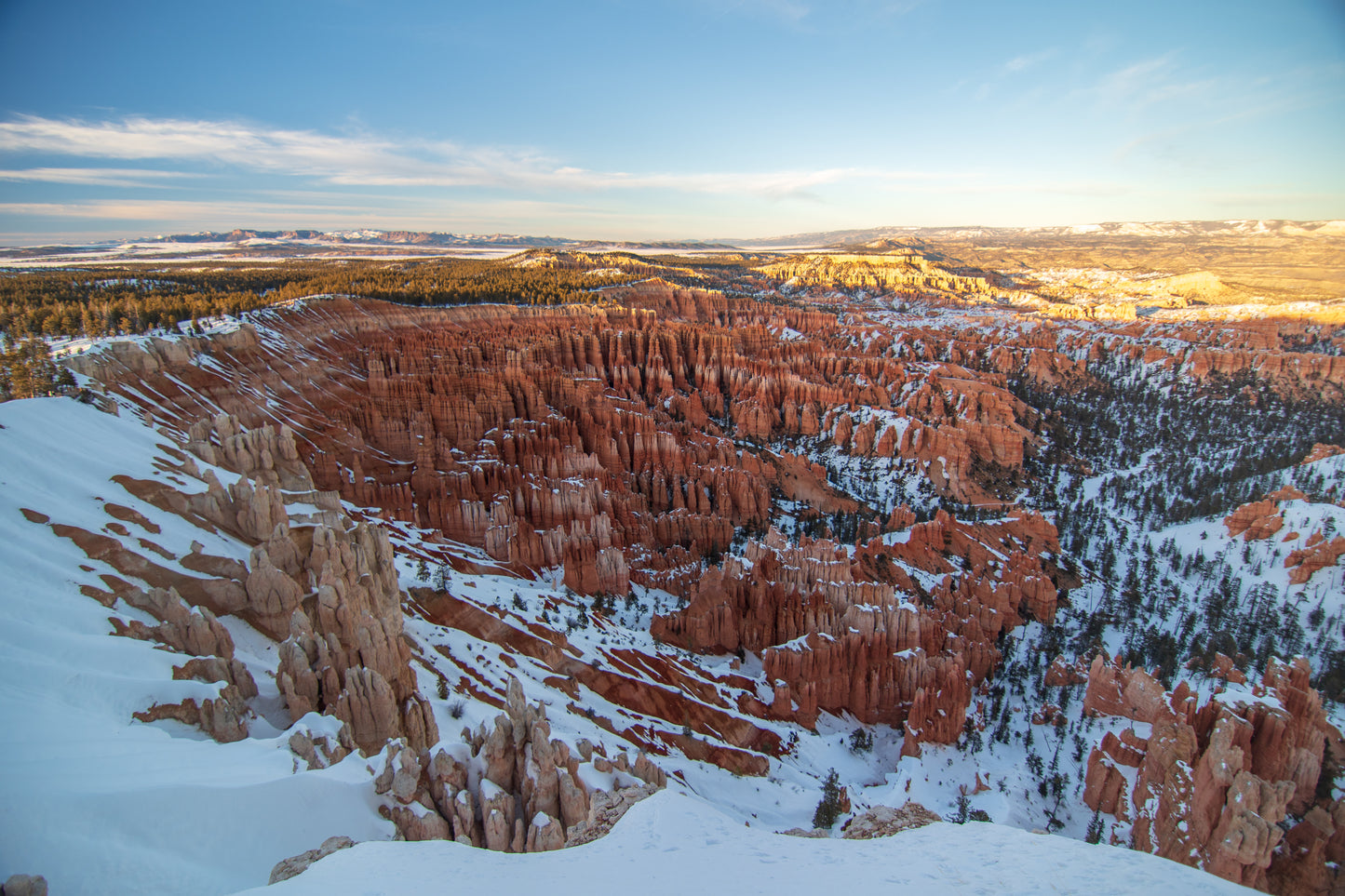 Snowy Hoodoos