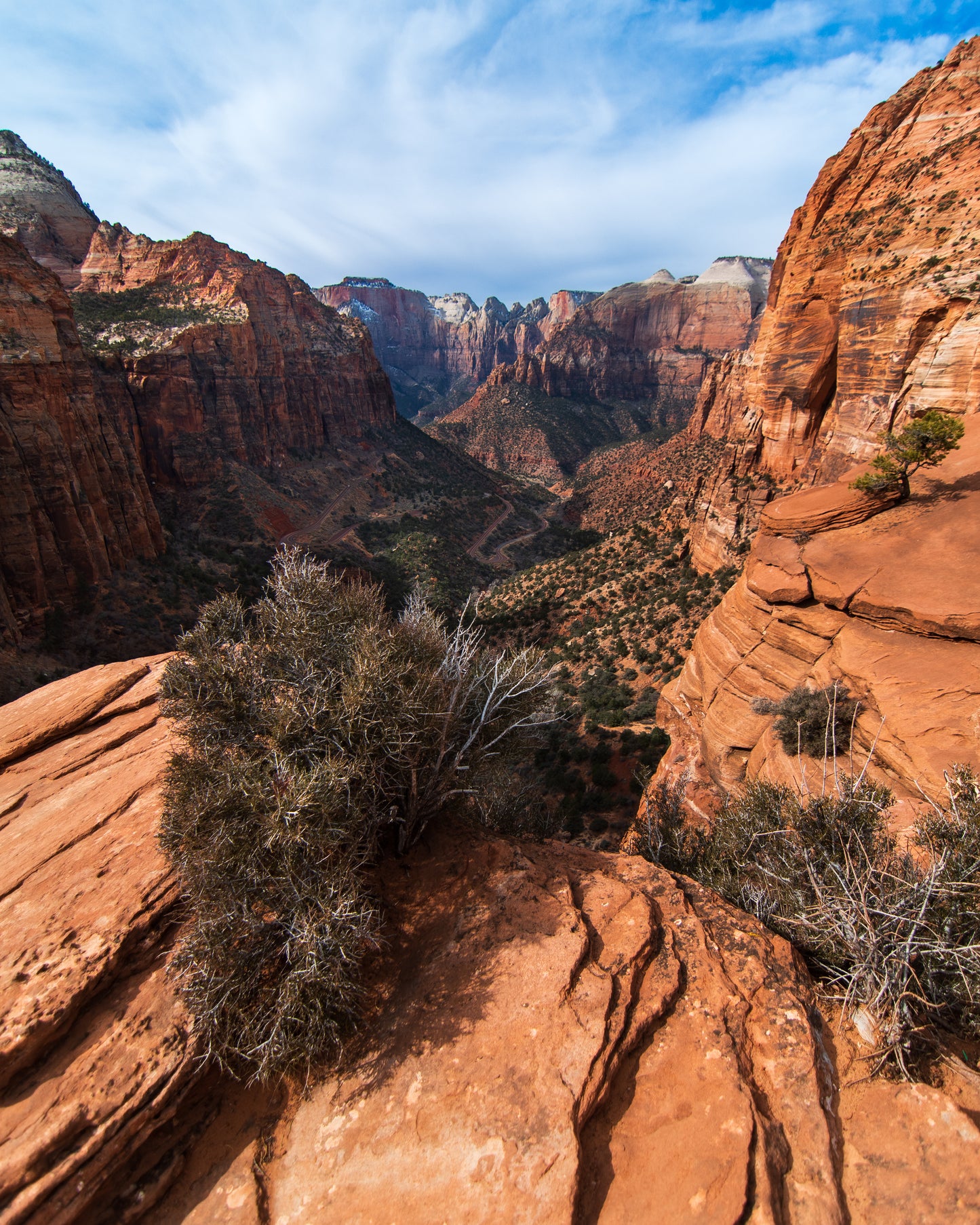 Zion Canyon Overlook