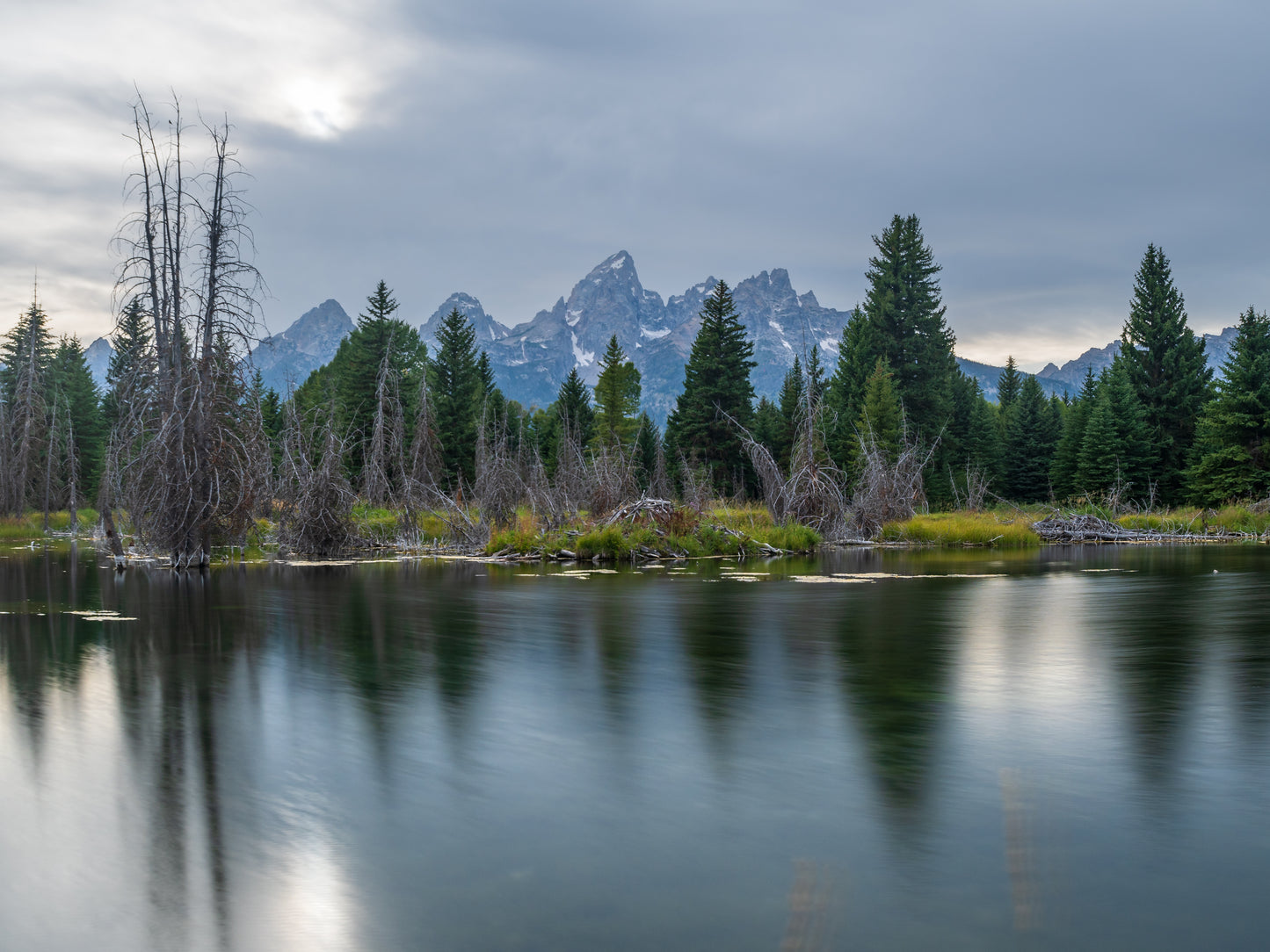 Reflected in Nature