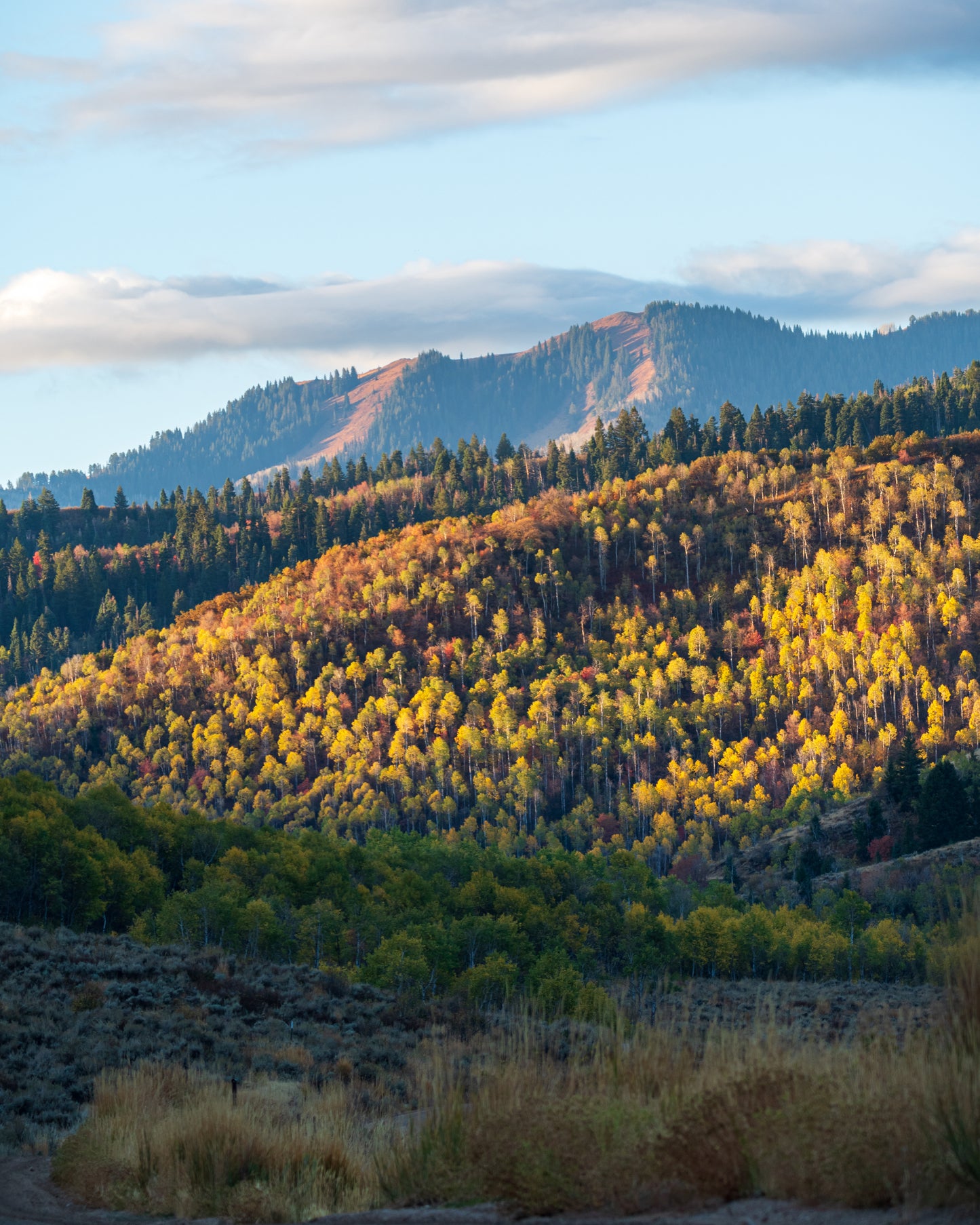 Autumn in the Wasatch