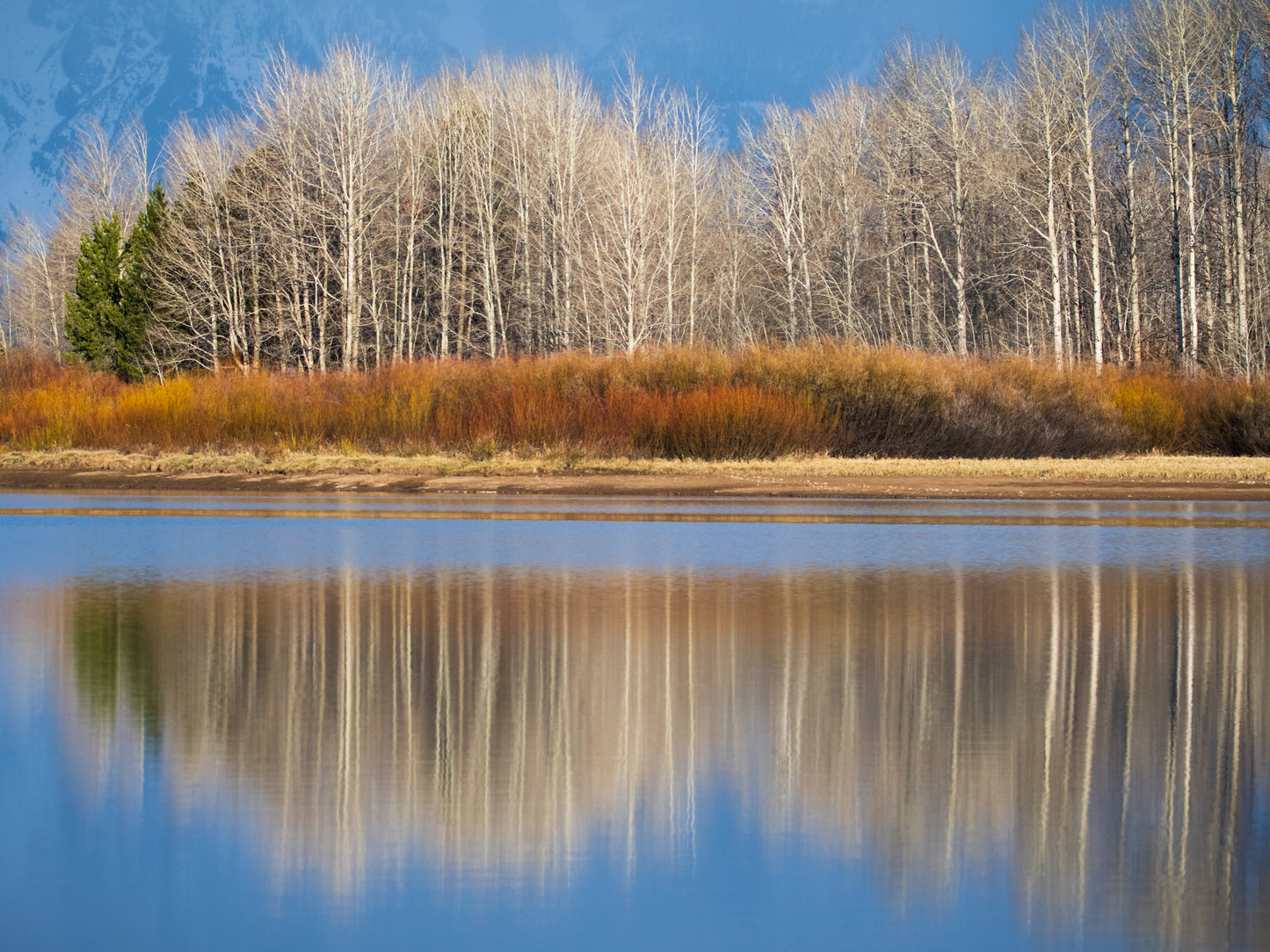 Aspen Mirror