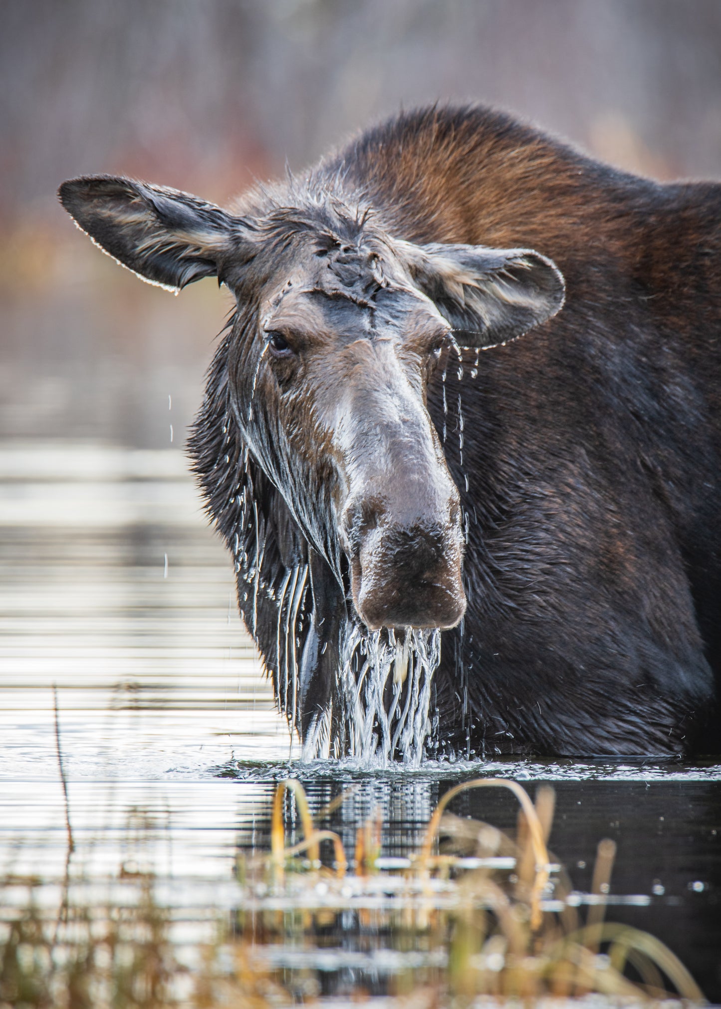 Soaked Through