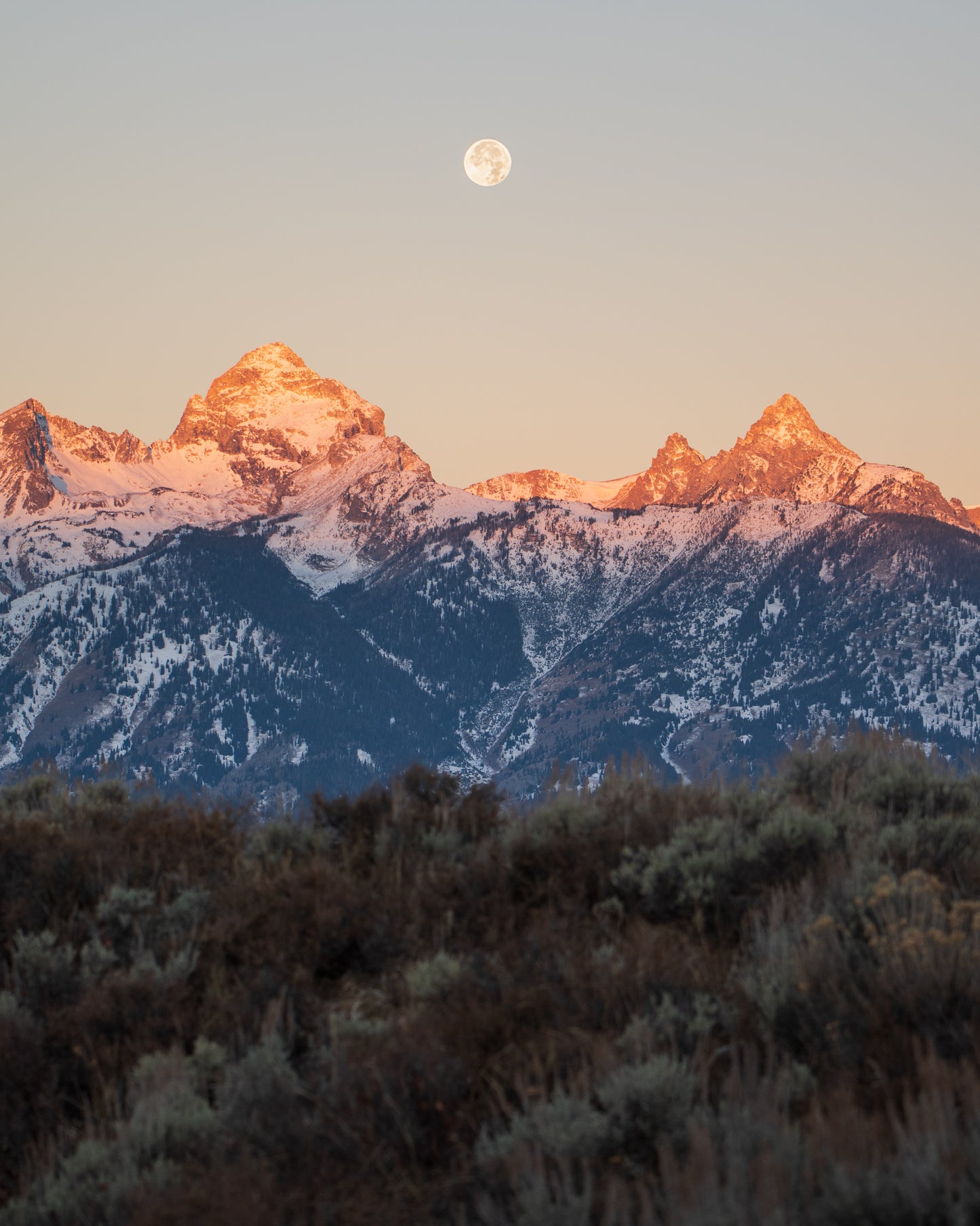 Moonset and Alpenglow